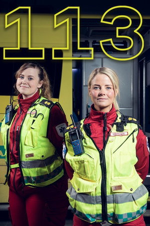 113 (2019)