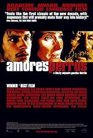 Amores Perros (2001)