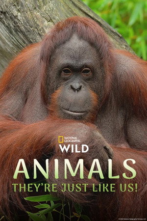 Animals, They're Just Like Us! (2025)