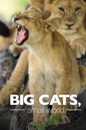 Big Cats, Small World (TV Series 2024) 2024