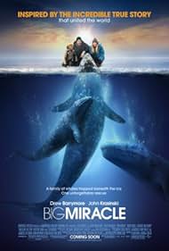 Big Miracle (2012)