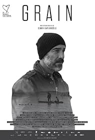 Buğday (2017)