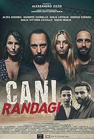 Cani randagi (2024)