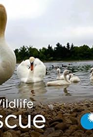 City Wildlife Rescue (1970)