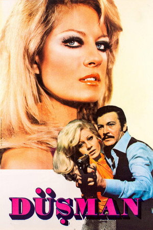 Düşman (1973)