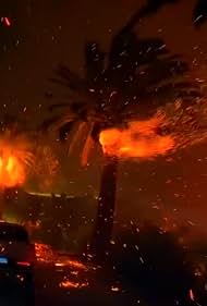 LA Firestorm: Inside the Inferno (2026)