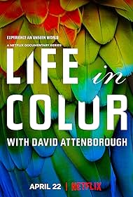 Life in Colour (2021)