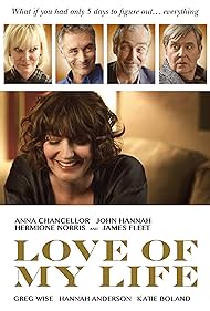 Love of My Life (2017)