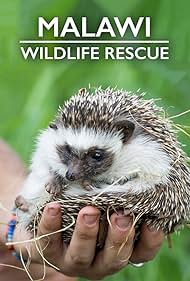 Malawi Wildlife Rescue (2019)