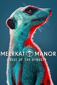 Meerkat Manor: Rise of the Dynasty (2021)