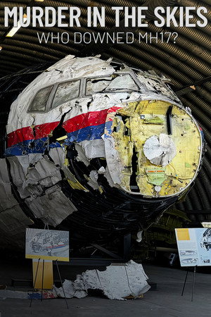Murder in the Skies: Who Downed MH17? (2025)