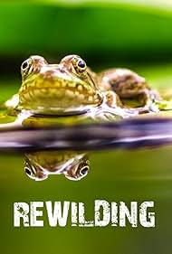 Rewilding (2017)