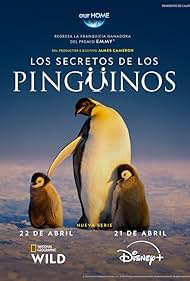 Secrets of the Penguins (2025)