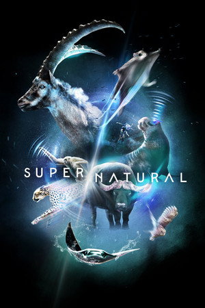 Super/Natural (TV Series 2022) 2022