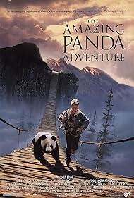 The Amazing Panda Adventure (1995)