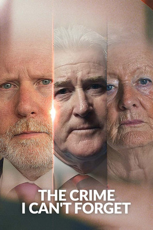 The Crime I Can't Forget (TV Series 2023–2025) 2025