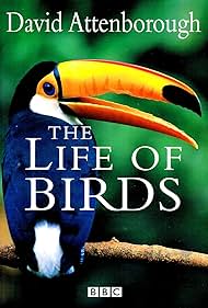 The Life of Birds (1998)