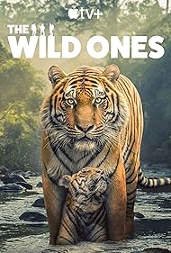 The Wild Ones (2025) 2025