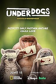 Underdogs (2025) 2025
