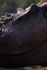 Walking With Dinosaurs (2025) 2025