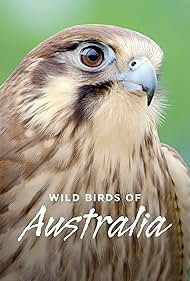 Wild Birds of Australia (2016)