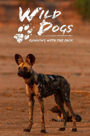 Wild Dogs: Running with the Pack (TV Series 2022–2023) 2022