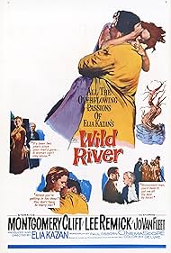 Wild River (1960)